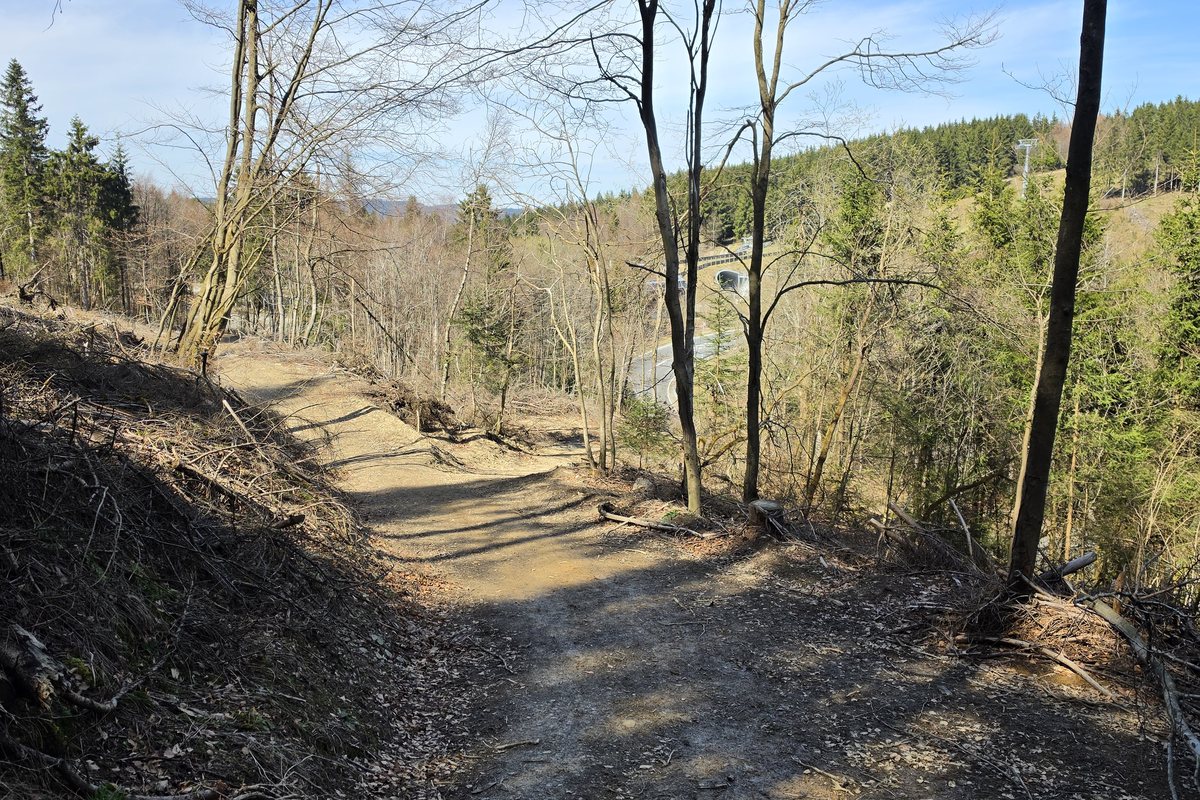 Wanderweg durch lichten Buchenwald am Kahlen Asten bei Winterberg im Vorfrühling