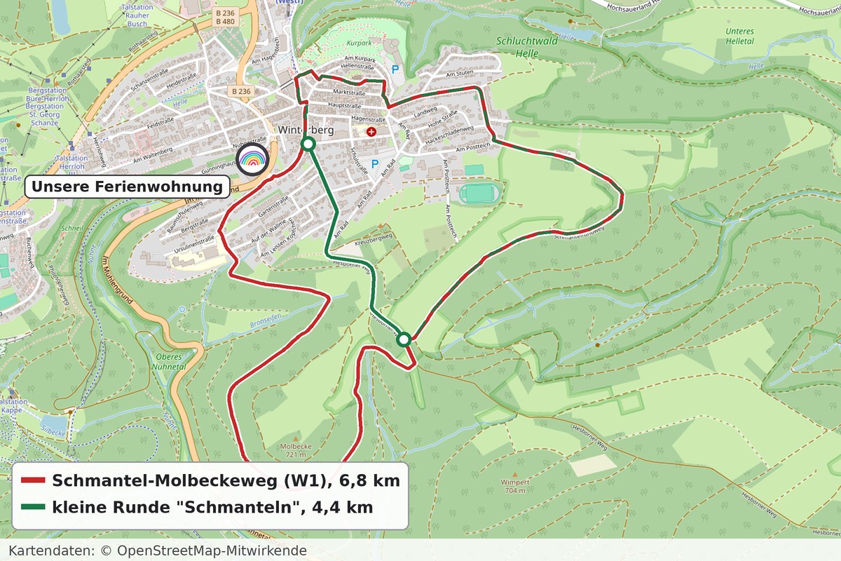 Karte des Schmantel-Molbeckewegs (W1) bei Winterberg mit der roten Runde, der grün eingezeichneten kleinen Runde und der Lage unserer Ferienwohnung