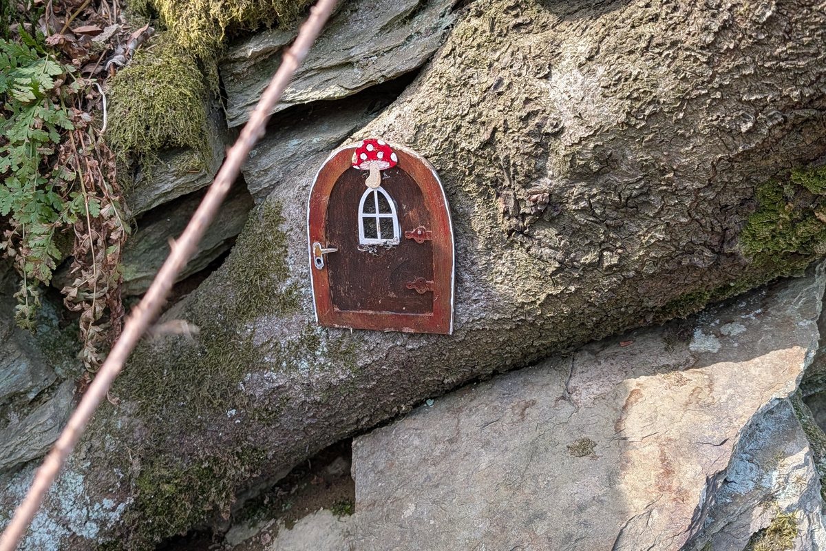 Kleine bemalte Elfentür an einer Baumwurzel am Wanderweg bei Winterberg, mit rotem Fliegenpilz über der Tür