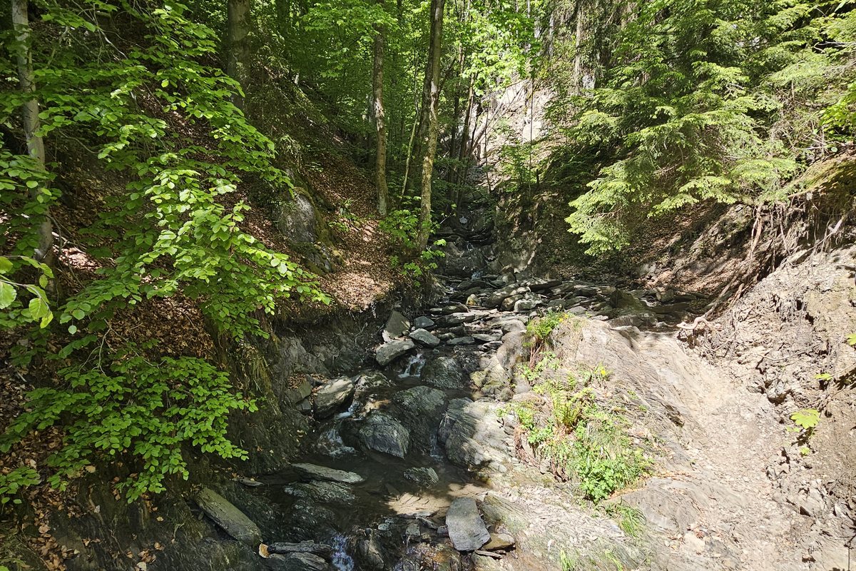 Blick in die Klamm des Helletals am Schluchten- und Brückenpfad in Winterberg, ein Bach zwischen bemoosten Felsen und Buchen